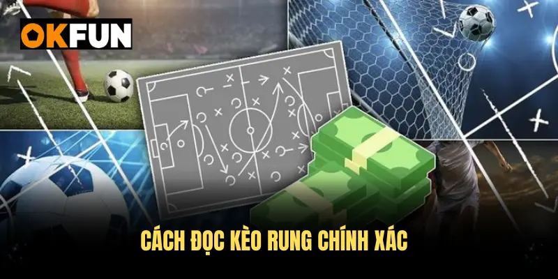 Cách đọc kèo rung chính xác giúp bạn đưa ra quyết định đúng đắn